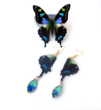 Load image into Gallery viewer, Real Butterfly Wing Dangle Earrings - Graphium Weiskei Hindwing with Glass Bead
