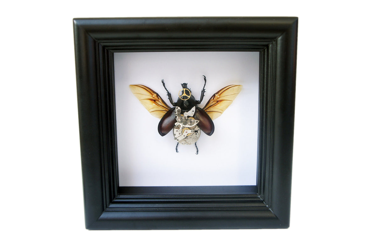 Steampunk rhino beetle frame, additional view