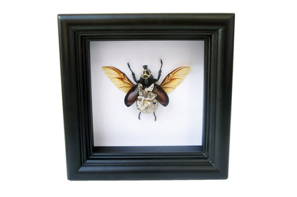 Steampunk rhino beetle frame, additional view