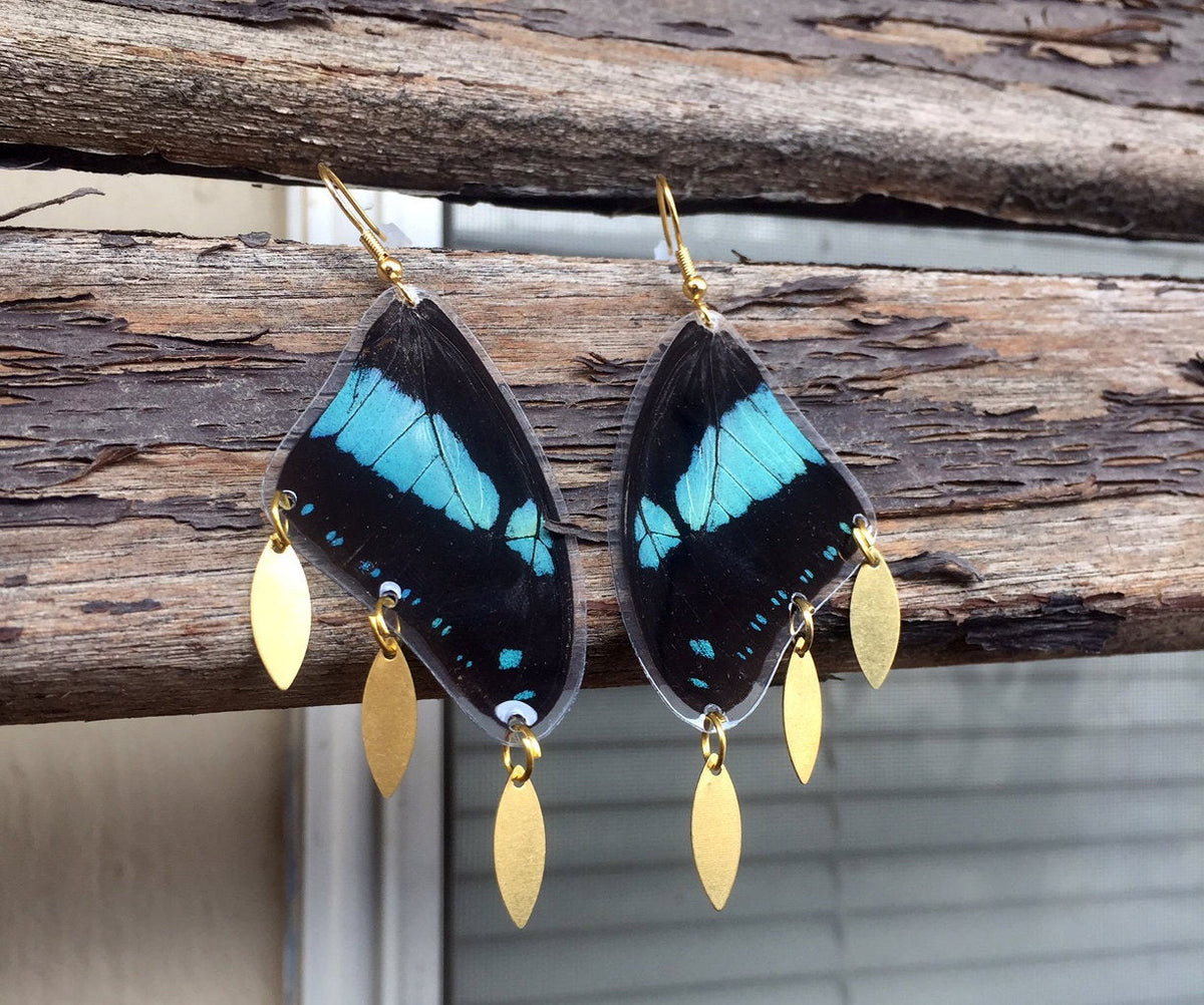 Real Papilio bromius butterfly wing charm earrings