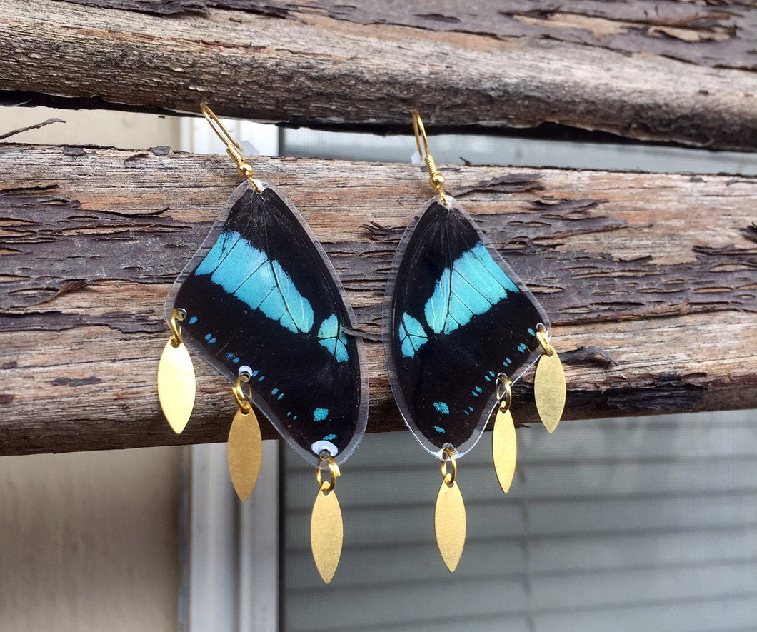 Real Butterfly Wing Charm Earrings - Papilio Bromius