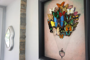 11x14 or 16x20 Real Butterfly Hot Air Balloon Zeppelin Framed Art