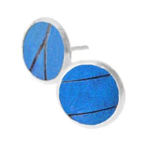 Blue Butterfly Wing Post Earrings - Blue Morpho