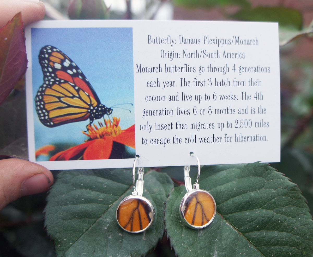 Monarch drop post earrings, detail view