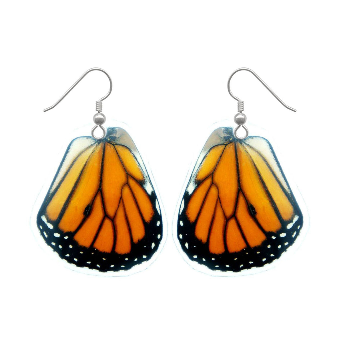 Real Monarch butterfly hindwing earrings