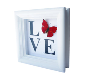 5x5 LOVE Butterfly Shadowbox Home Decor - Cymothoe Sangaris