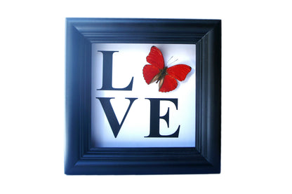 LOVE butterfly shadow box, detail view