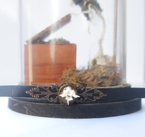Snake Vertebrae Choker Necklace - Taxidermy Jewelry, Oddities Jewelry, Goth Style, Curiosities