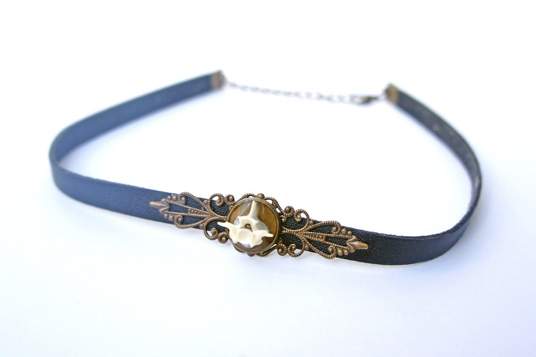 Snake Vertebrae Choker Necklace - Taxidermy Jewelry, Oddities Jewelry, Goth Style, Curiosities