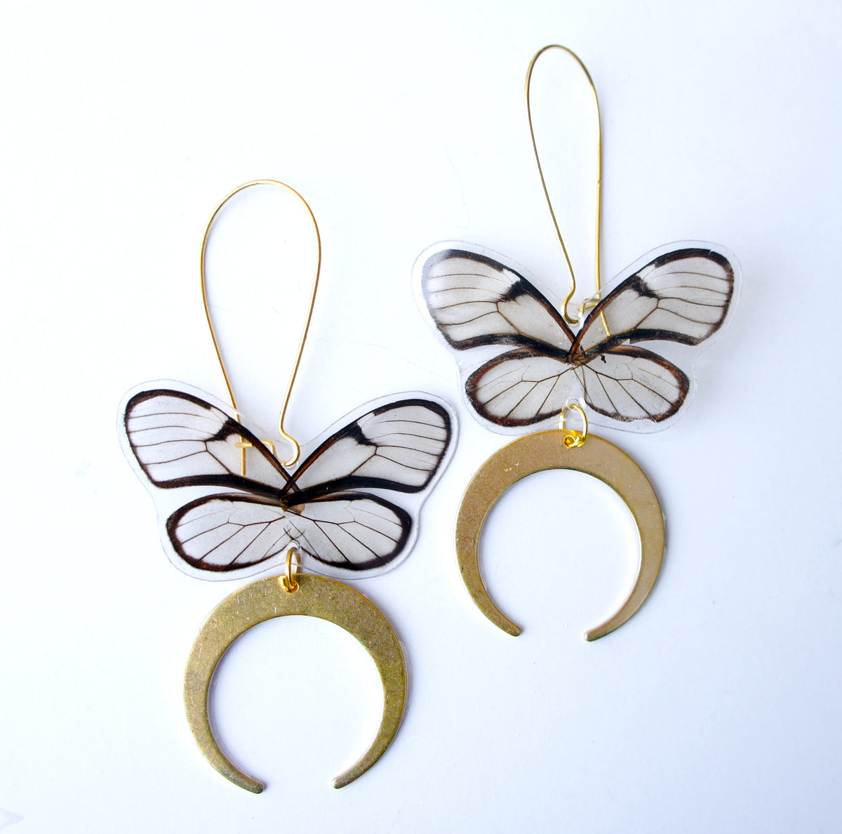Real clearwing butterfly earrings with crescent moon dangles
