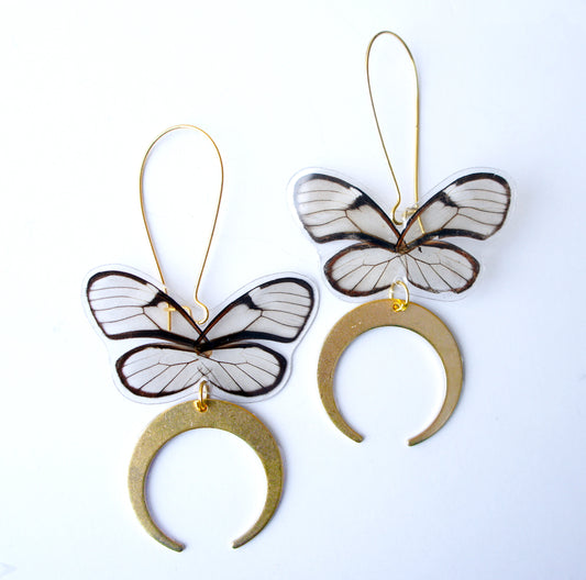 Real clearwing butterfly earrings with crescent moon dangles