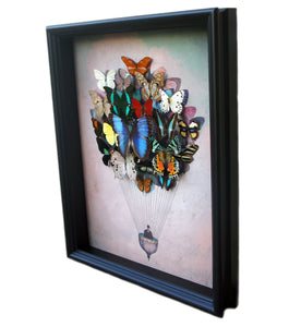 11x14 or 16x20 Real Butterfly Hot Air Balloon Zeppelin Framed Art