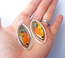 Load image into Gallery viewer, Real Moth Wing Sterling Silver Earrings - Rainbow Sunset Moth Marquis, Drop, Dangle, Butterfly Gift, Insects, Taxidermy Art, Entomology
