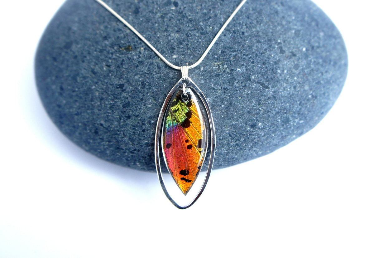 Real rainbow Sunset Moth wing dangling in a sterling silver pendant