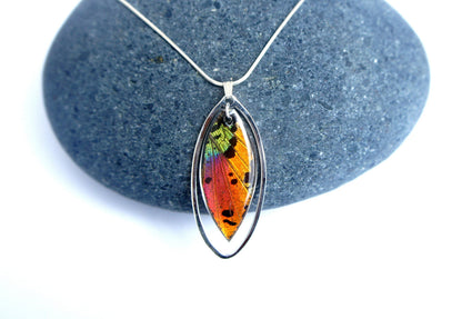 Real rainbow Sunset Moth wing dangling in a sterling silver pendant