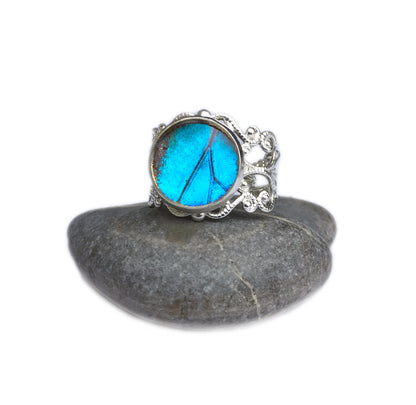 Real Blue Morpho wing in an adjustable bronze ring