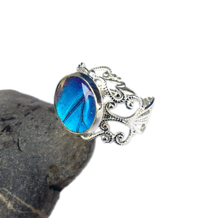 Blue Morpho wing ring, alternate view