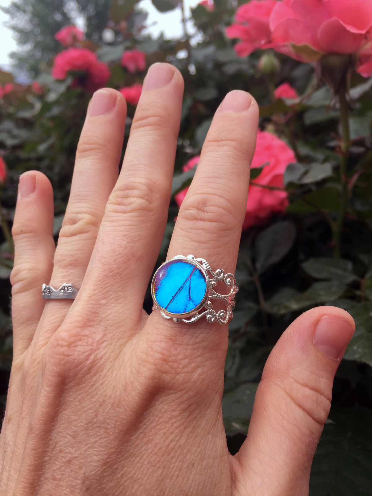 Blue Morpho wing ring, detail view