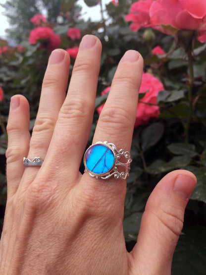 Blue Morpho wing ring, detail view
