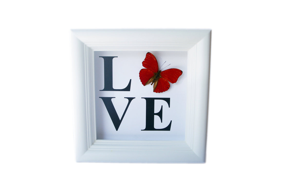 LOVE butterfly shadow box, additional view