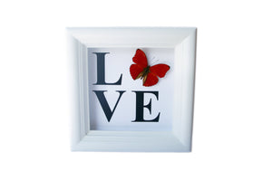 5x5 LOVE Butterfly Shadowbox Home Decor - Cymothoe Sangaris