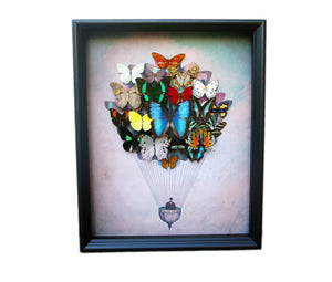 11x14 or 16x20 Real Butterfly Hot Air Balloon Zeppelin Framed Art