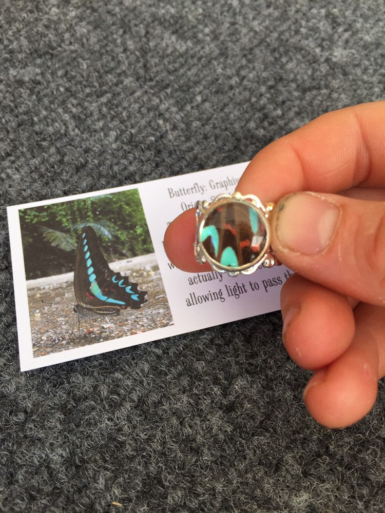 Blue butterfly wing ring, additional view