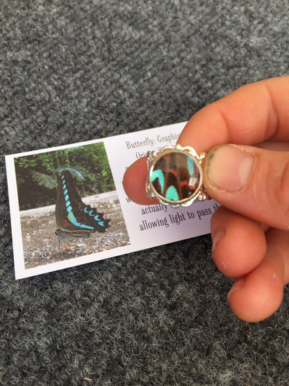 Blue butterfly wing ring, additional view