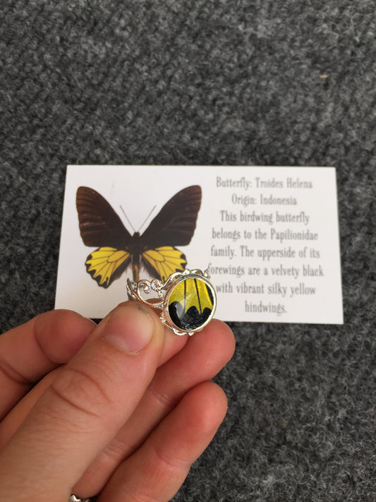 Bright butterfly wing ring, alternate view