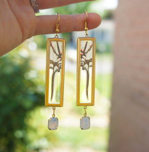 Swordtail Butterfly Wing Pendant Earrings - Butterfly Gift, Nature Theme Jewelry