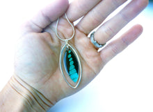 Load image into Gallery viewer, Butterfly Wing Necklace In Sterling Silver - Graphium Milon
