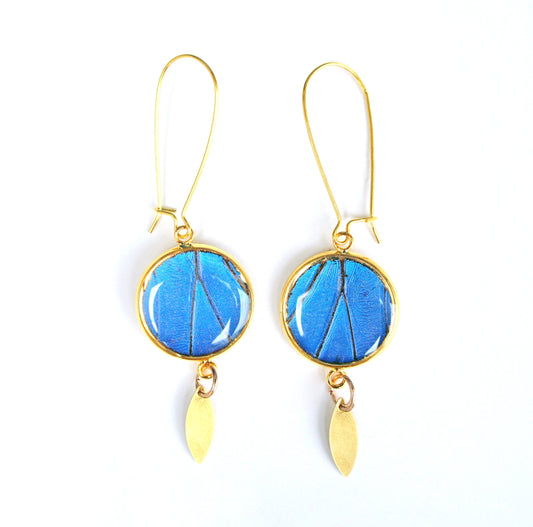 Real Blue Morpho wing earrings in gold-plated pendants