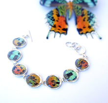 Load image into Gallery viewer, Sunset Moth Butterfly Wing Sterling Silver Bracelet - Adjustable, Accessory, Natural, Colorful, Earth, Rings
