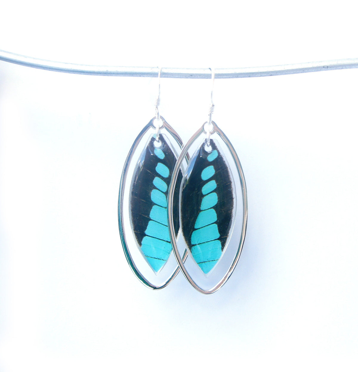 Real Graphium milon forewing earrings in sterling silver