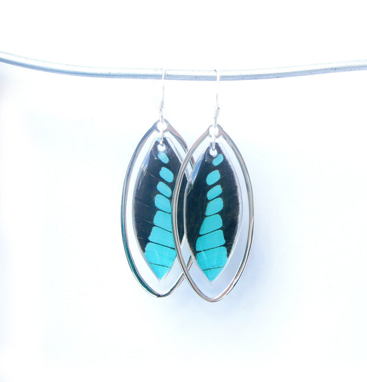 Real Graphium milon forewing earrings in sterling silver