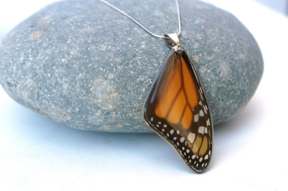 Monarch forewing necklace, alternate view