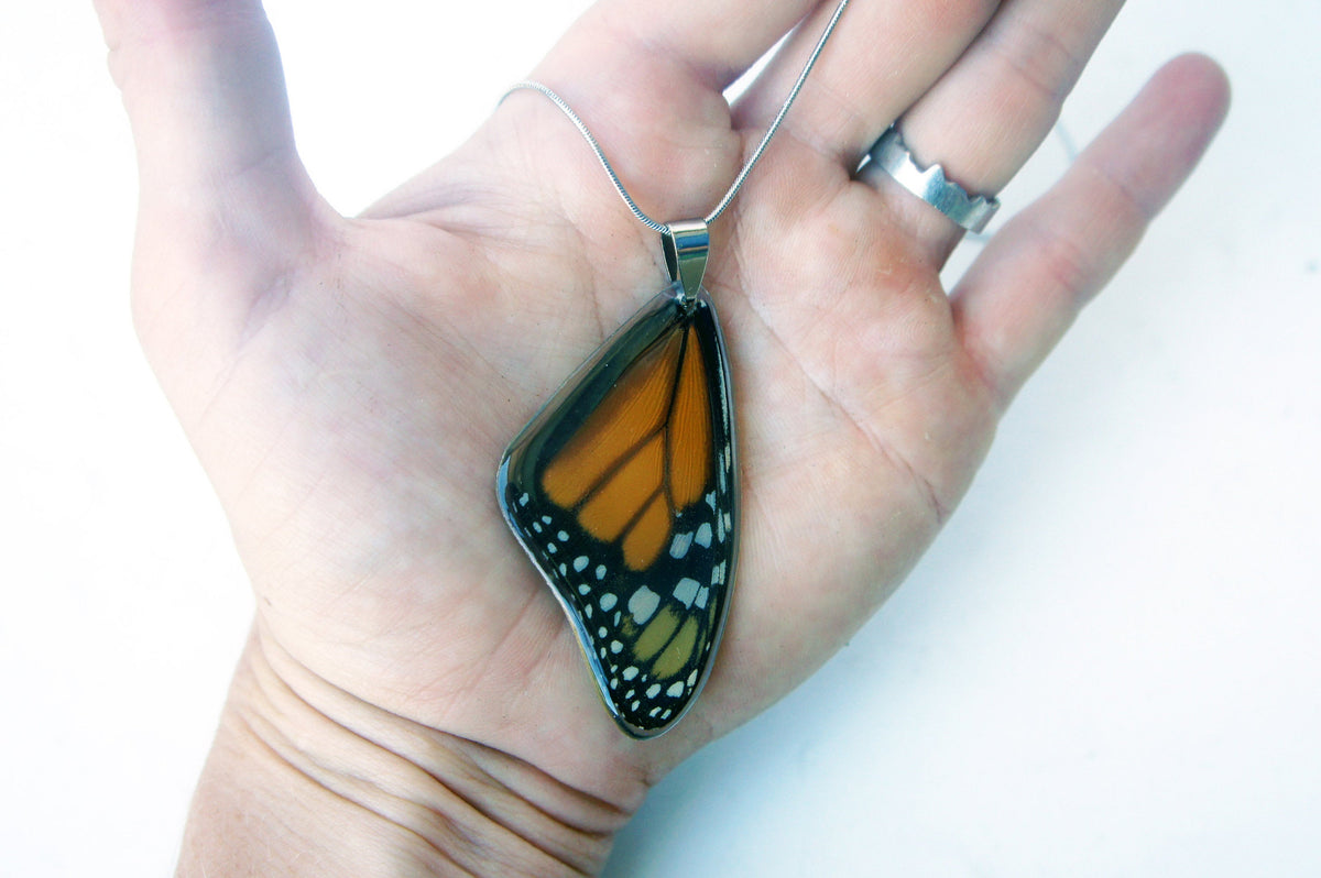 Monarch forewing necklace, detail view