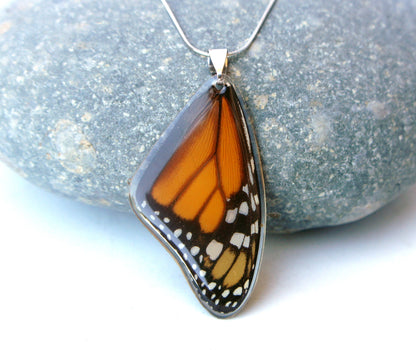 Real orange Monarch butterfly forewing necklace