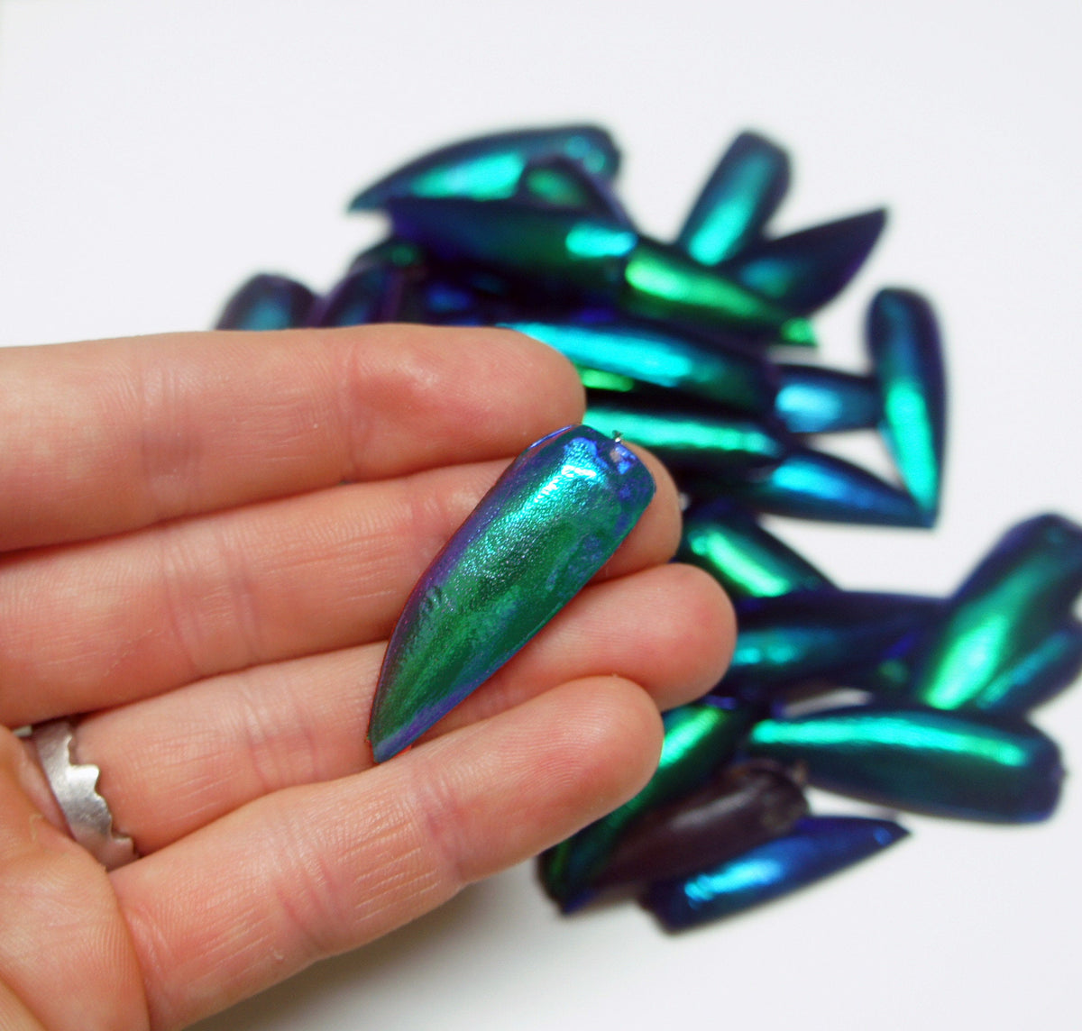 25 Real Green Beetle Wings for Crafting