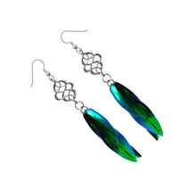 Load image into Gallery viewer, Real Beetle Wing Earrings - Celtic Knot
