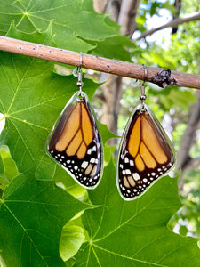 Real Monarch Butterfly Earrings - Monarch Forewing - Butterfly Wings, Butterfly Jewelry, Monarch Jewelry, Gifts For Her