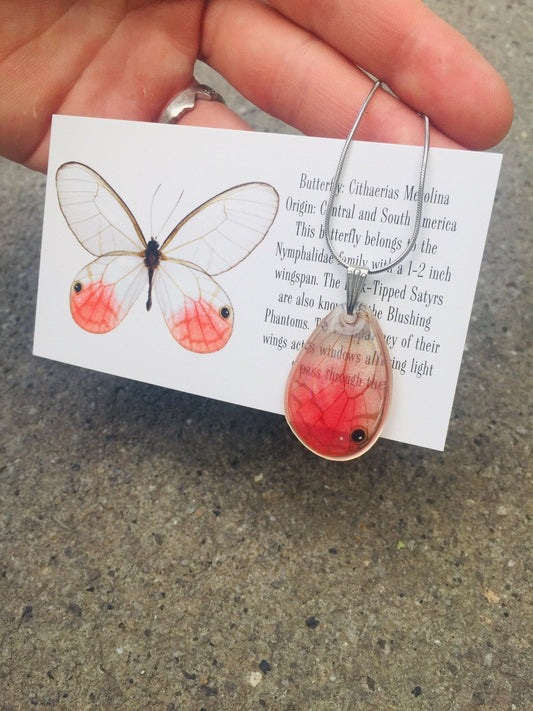 Real pink Blushing Phantom butterfly wing necklace