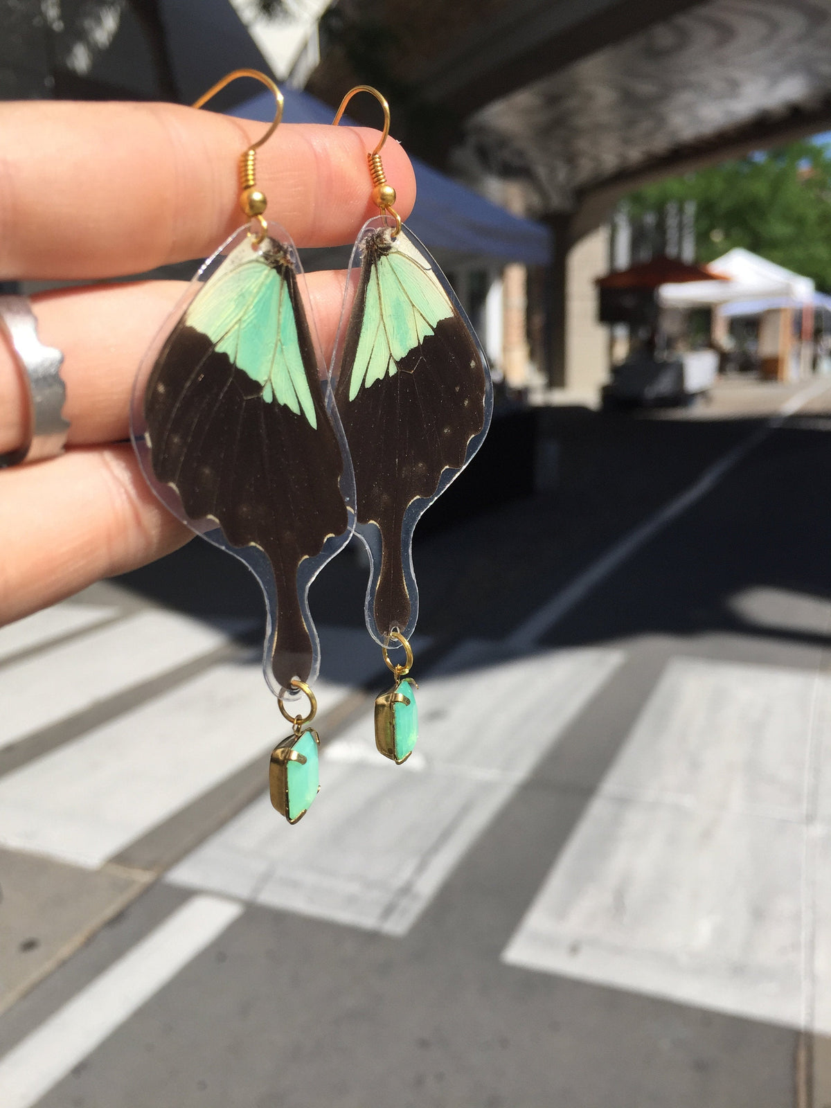 Papilio phorcas wing earrings, detail view