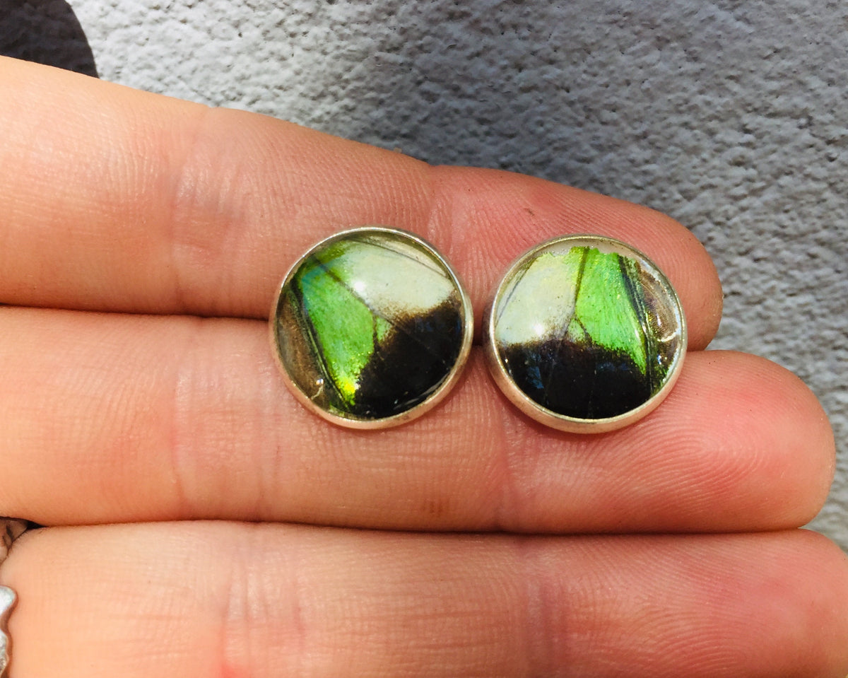 Electric green wing post earrings, alternate view