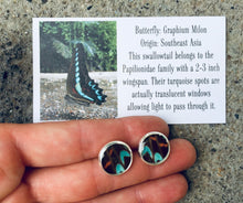 Load image into Gallery viewer, Recycled Butterfly Wing Post Earrings - Graphium Milon - Butterfly Jewelry, Butterfly Gift, Jewelry Gift
