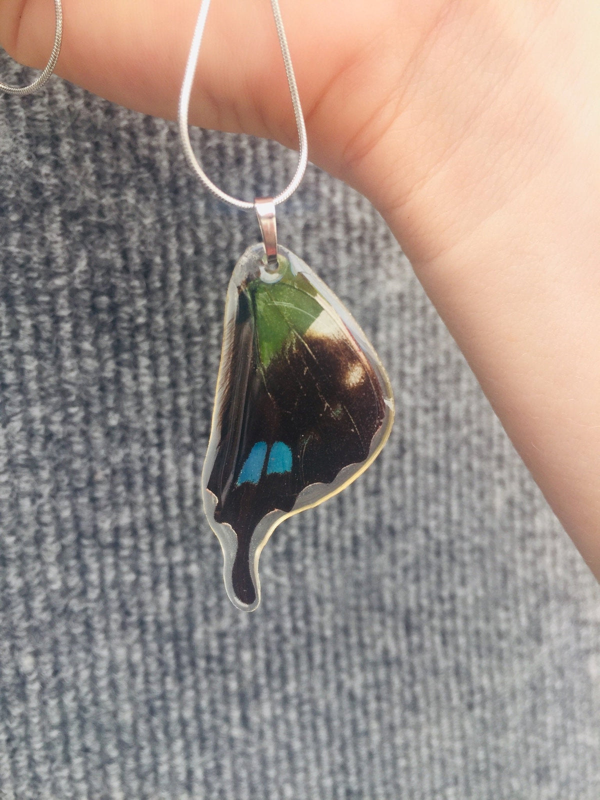 Graphium weiskei wing necklace, additional view