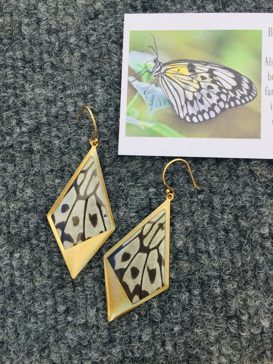 Rice Paper wing drop kite earrings, alternate view