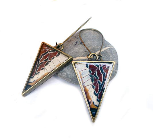 Real Charaxes brutus butterfly wing triangle earrings in bronze