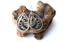 Load image into Gallery viewer, Real Butterfly Wing Sterling Silver Earrings - Rice Paper Butterfly
