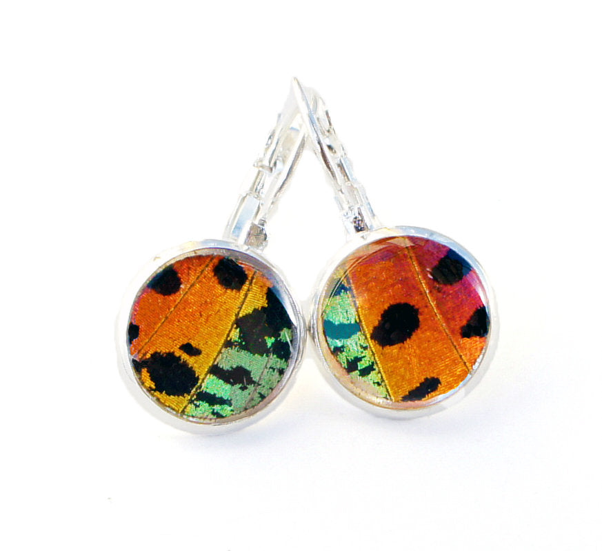 Real Butterfly Wing Dropped Post Earrings - Rainbow Sunset Moth